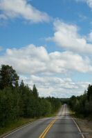 _MG_4730-1.jpg