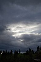 _MG_4831-1.jpg