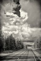 _MG_4930-3.jpg