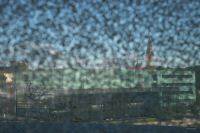 _MG_5036-1.jpg