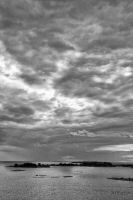 _MG_5183-2.jpg