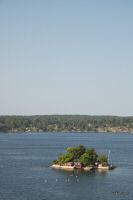 _MG_5263-1.jpg