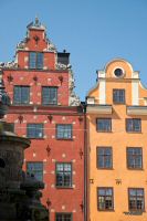 _MG_5313-1.jpg