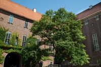 _MG_5337-1.jpg
