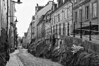 _MG_5510-2.jpg