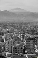 _MG_6349-1.jpg