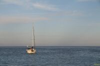 _MG_6391-1.jpg