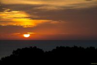 _MG_6418-1.jpg