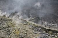 _MG_6626-1.jpg
