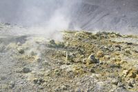 _MG_6650-1.jpg