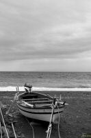 _MG_6986-1.jpg