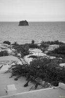 _MG_7074-1.jpg