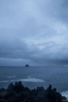 _MG_7253-1.jpg