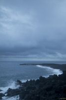 _MG_7261-1.jpg