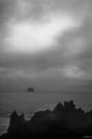 _MG_7278-1.jpg