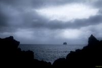_MG_7288-1.jpg