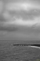 _MG_7304-1.jpg