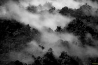 _MG_7576-1.jpg