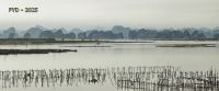 _MG_4300_DxO_resultat.jpg