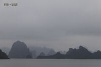 _MG_4338_DxO_resultat.jpg