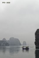_MG_4769_DxO_resultat.jpg