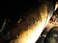 IMG_3123.JPG