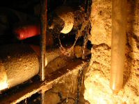 IMG_3156.JPG