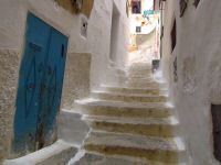 IMG_2461.JPG