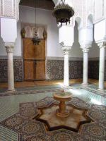 IMG_2495.JPG