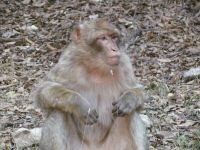 IMG_2590.JPG