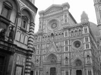 Img_0974.jpg
