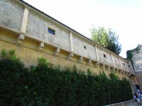 Img_1729.jpg