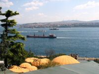 Img_0734.jpg