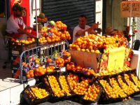 Img_0970.jpg