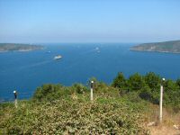 Img_1105.jpg