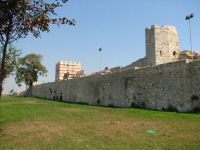 Img_1228.jpg