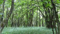 IMG_1407.JPG