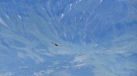IMG_1528.JPG