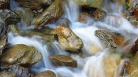 IMG_1791.JPG