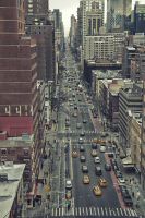 _MG_6659-1.jpg