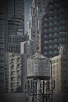 _MG_7036-1.jpg