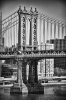 _MG_7102-1.jpg