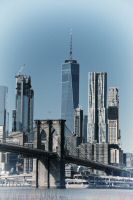 _MG_7129-1.jpg