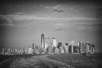 _MG_7265-1.jpg