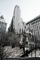 _MG_7289-1.jpg
