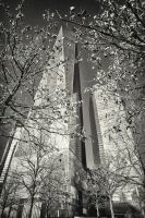_MG_7303-1.jpg