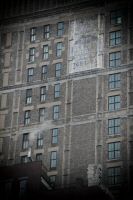 _MG_7554-1.jpg