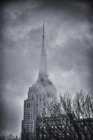 _MG_7559-1.jpg