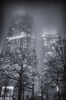 _MG_7702-1.jpg