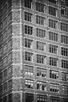 _MG_7769-1.jpg